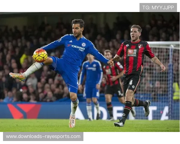 法布雷加斯成功获得欧足联Pro级教练执照认证 法布雷加斯成功获得欧足联Pro级教练执照认证